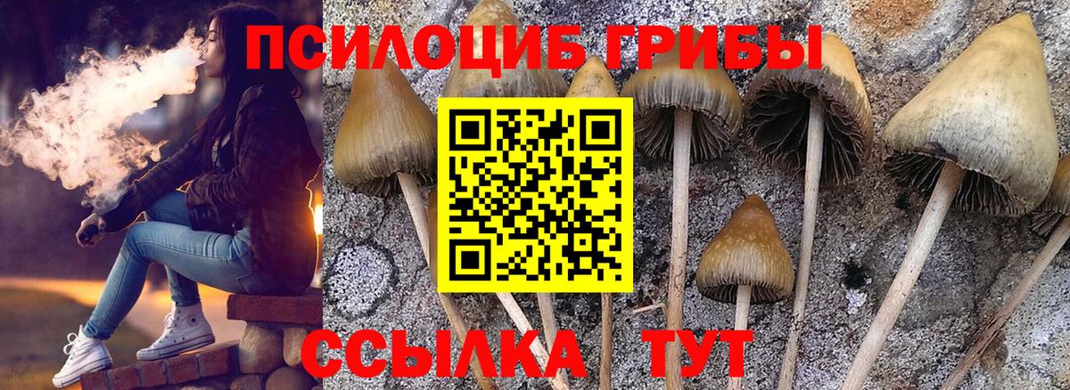 Казань  Галлюциногенные грибы GOLDEN TEACHER  Вход с VPN 